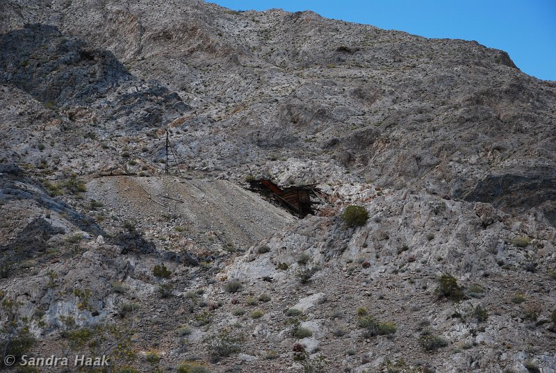 DSC_1838.JPG