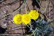 comp-DSC_6282