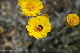 comp-DSC_6538