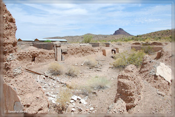 comp-DSC_6825.1.1 (11)