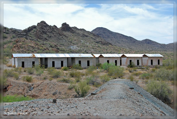 comp-DSC_6825.1.1 (14)