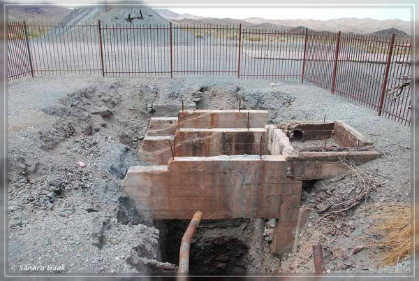 comp-DSC_6825.1.1 (16)