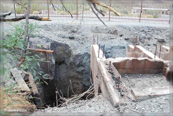 comp-DSC_6825.1.1 (17)