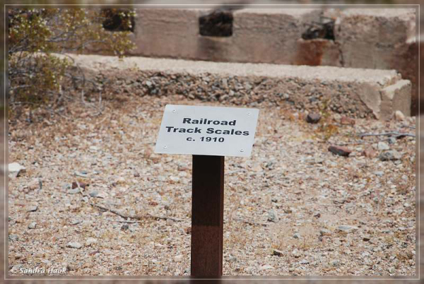 comp-DSC_6825.1.1 (20)