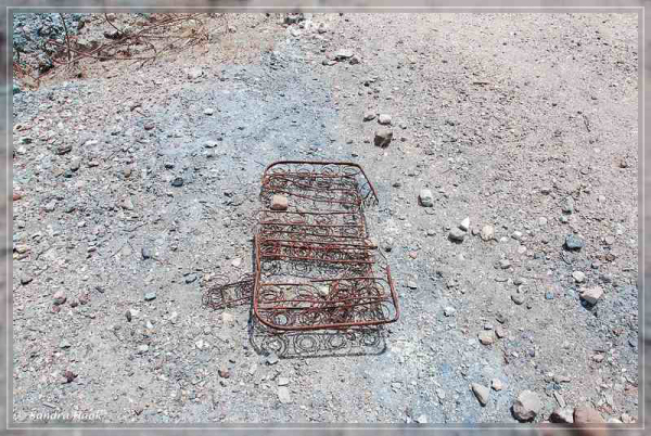 comp-DSC_6825.1.1 (31)