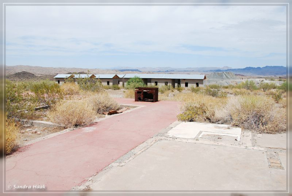 comp-DSC_6825.1.1 (5)