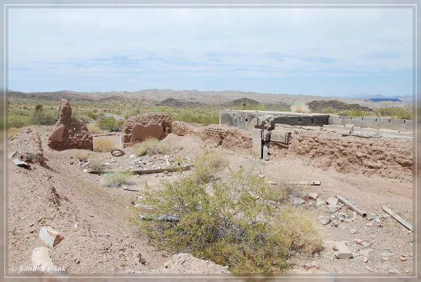 comp-DSC_6825.1.1 (8)