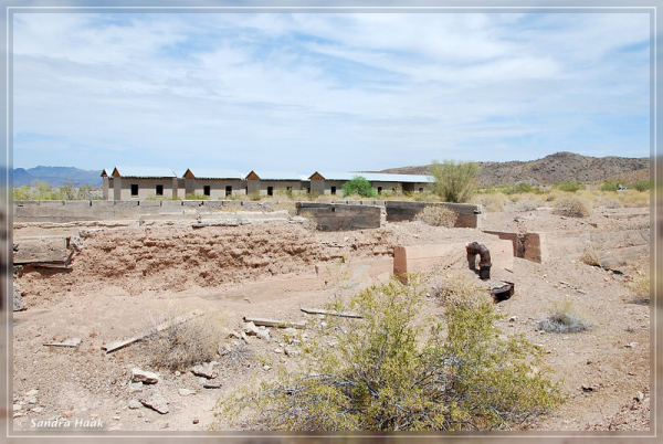 comp-DSC_6825.1.1 (9)