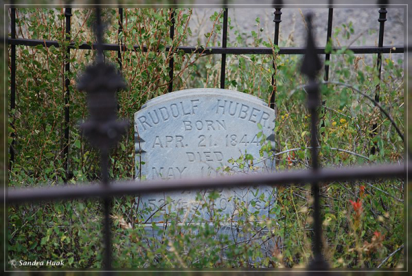 comp-DSC_9425. (11)