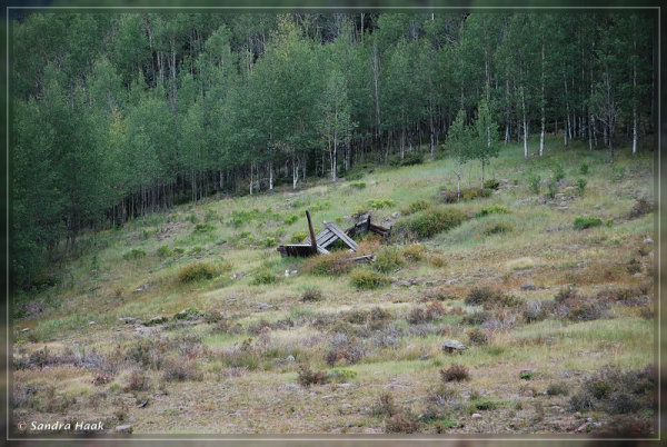 comp-DSC_9425. (16)