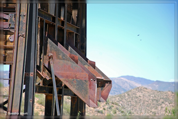 comp-DSC_6398