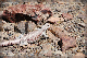 comp-DSC_6040