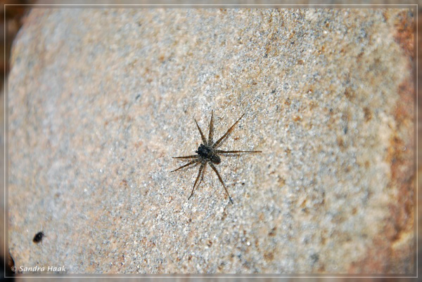 comp-DSC_5202