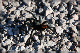 comp-DSC_0559