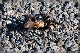 comp-DSC_0623