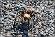 comp-DSC_0630