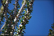 comp-DSC_0726_50