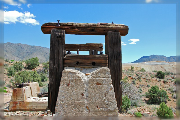 comp-DSC_6909.1 (12)