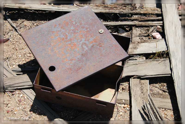 comp-DSC_6909.1 (18)