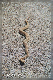 comp-snakes 1