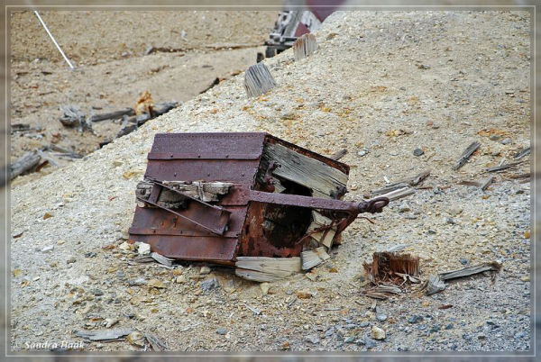 comp-DSC_9742