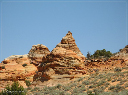 comp-IMG_3008