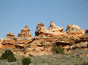 comp-IMG_3038